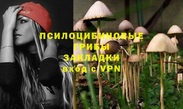 прущий лед Переславль-Залесский